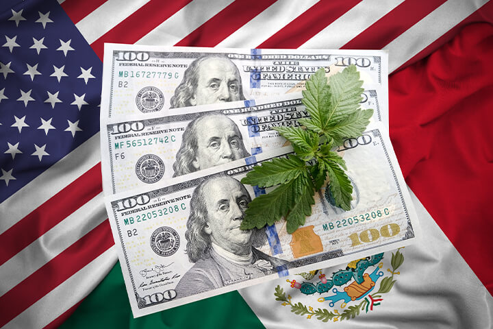 Uso de la marihuana: efectos de PLD en México y EUA